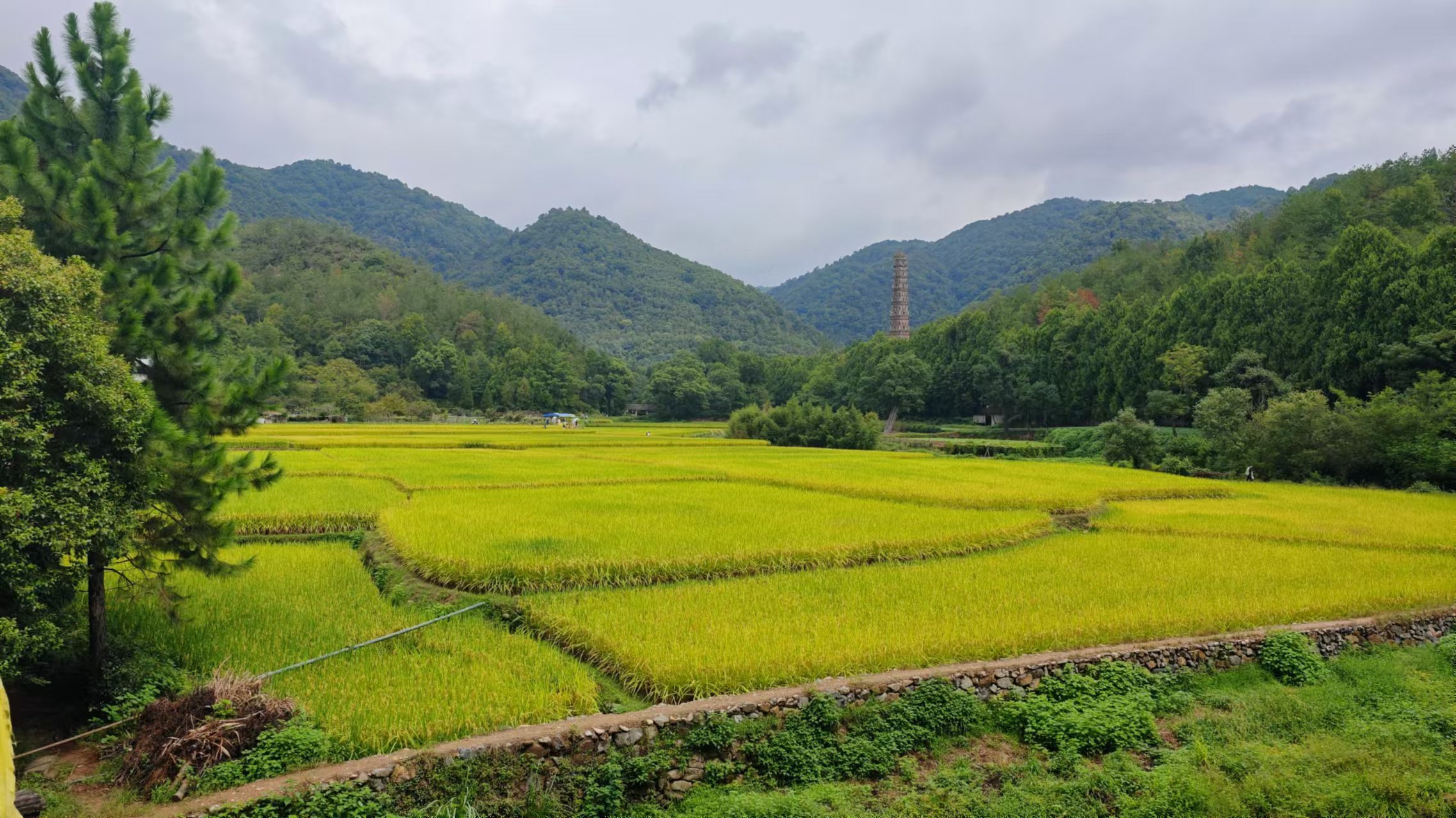 游记｜台州天台，佛宗道源，和合之城