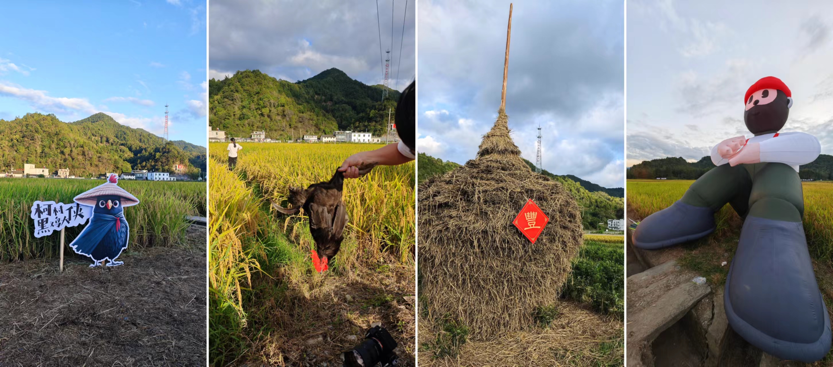 毕业旅行｜皖南自驾DAY5 - 碧山